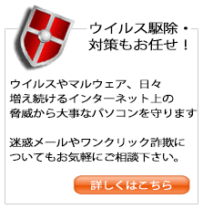 �E�C���X�΍�